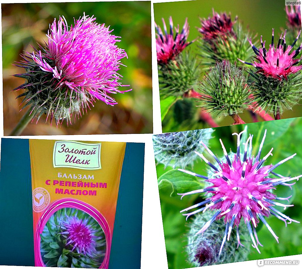 Сбор до 08.12. Экспресс 4 дня! Золотой Шёлк и HERBICA - серии специально для Вашего типа волос! Шампуни, бальзамы, репейное масло. Волосы-главное украшение женщины. Сбор до 08.12. Экспресс 4 дня! Золотой Шёлк и HERBICA - серии специально для Вашего типа волос! Шампуни, бальзамы, репейное масло. Волосы-главное украшение женщины.