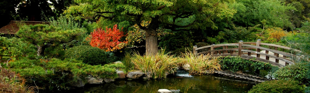 Сбор заказов до 20.12. Японские удобрения Fujima. Экономичные, эффективные жидкие удобрения для комнатных, декоративных и огородных культур. Выкуп - 3 Сбор заказов до 20.12. Японские удобрения Fujima. Экономичные, эффективные жидкие удобрения для комнатных, декоративных и огородных культур. Выкуп - 3