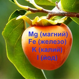 8 причин есть хурму каждый день: 8 причин есть хурму каждый день: