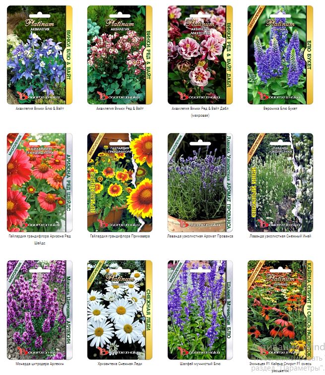 Семена многолетников цветущих уже в первый год! Семена многолетников цветущих уже в первый год!