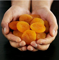 Курага - источник солнца, особенно зимой! Вкусная, сладкая, ярко-янтарного цвета - просто радует глаз! Ароматная! Курага - источник солнца, особенно зимой! Вкусная, сладкая, ярко-янтарного цвета - просто радует глаз! Ароматная!