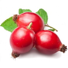 Из шиповника отвар - ценный от природы дар. Шиповник алтайский 1 кг - 165 рублей! Лучшая цена! Скидки на орг сбор! Из шиповника отвар - ценный от природы дар. Шиповник алтайский 1 кг - 165 рублей! Лучшая цена! Скидки на орг сбор!