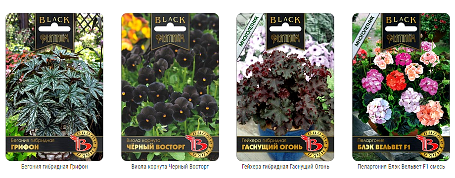 Цветы серии Блэк! Цветы серии Блэк!