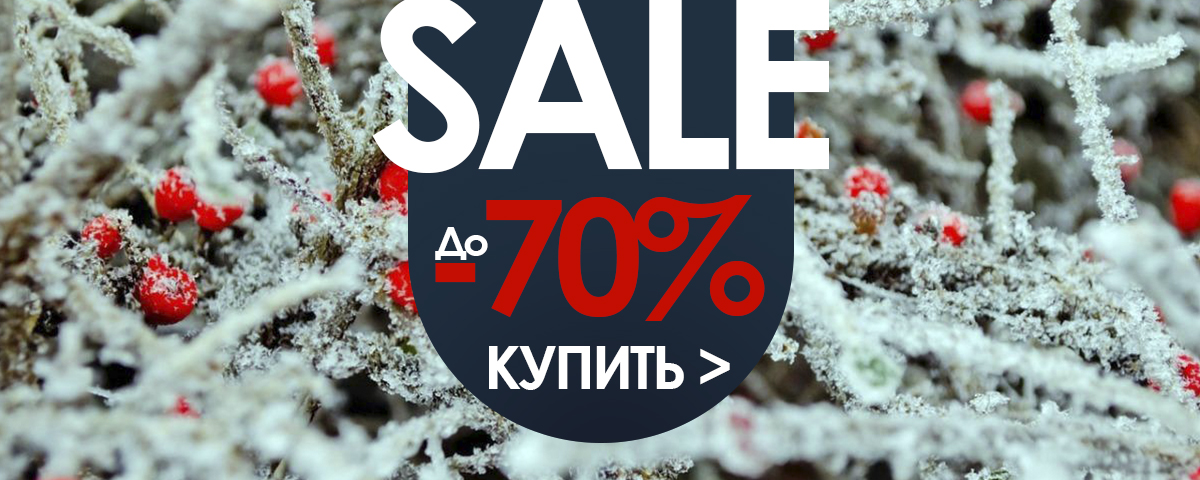 распродажу обновила распродажу обновила