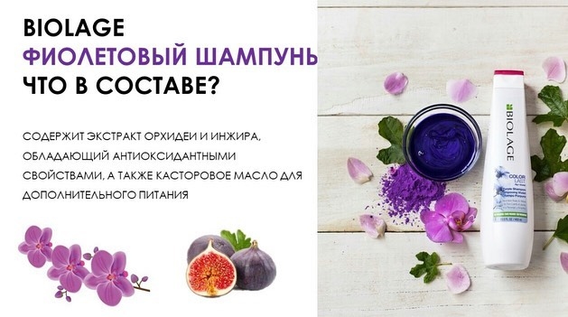 KOЛOPЛACT ФИОЛЕТОВЫЙ ШАМПУНЬ - НЕЙТРАЛИЗАЦИЯ ЖЕЛТИЗНЫ ДЛЯ ОТТЕНКОВ БЛОНД! KOЛOPЛACT ФИОЛЕТОВЫЙ ШАМПУНЬ - НЕЙТРАЛИЗАЦИЯ ЖЕЛТИЗНЫ ДЛЯ ОТТЕНКОВ БЛОНД!