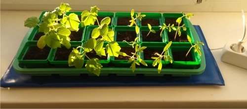 По закупке минималка собрана, приму дозаказы! Очень актуально сейчас! По закупке минималка собрана, приму дозаказы! Очень актуально сейчас!