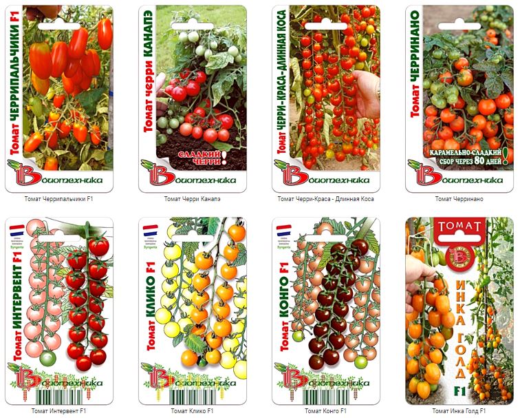 Полезное свойство томатов черри - созревание кистями! Полезное свойство томатов черри - созревание кистями!