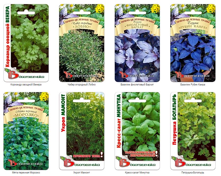 Часто хочется приготовить те или иные блюда древней и пряной кавказской кухни, но не хватает ключевых продуктов для воплощения своей мечты? Наша коллекция семян дает Вам такую возможность! Часто хочется приготовить те или иные блюда древней и пряной кавказской кухни, но не хватает ключевых продуктов для воплощения своей мечты? Наша коллекция семян дает Вам такую возможность!