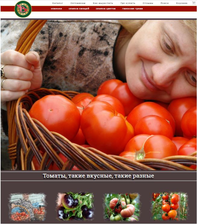 Томаты. Такие вкусные и такие разные! Томаты. Такие вкусные и такие разные!