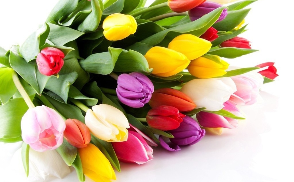 С ПРАЗДНИКОМ!!! С ВЕСНОЙ!!! желаю вам отличного настроения и море цветов!!! С ПРАЗДНИКОМ!!! С ВЕСНОЙ!!! желаю вам отличного настроения и море цветов!!!