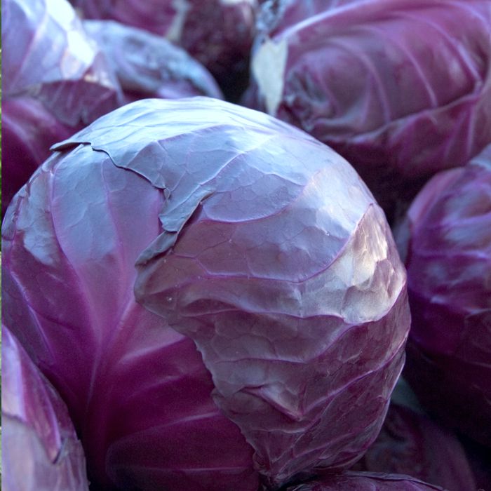 Сбор до 28 апреля 2020 с оргсбором 13%. Рассада: капуста, базилик, бархатцы, настурция, циния. Сбор до 28 апреля 2020 с оргсбором 13%. Рассада: капуста, базилик, бархатцы, настурция, циния.