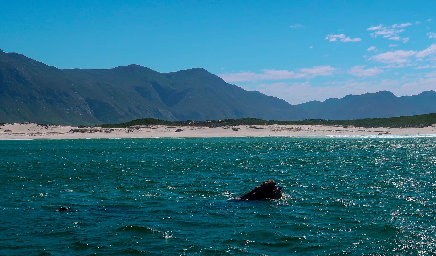 South Africa South Africa