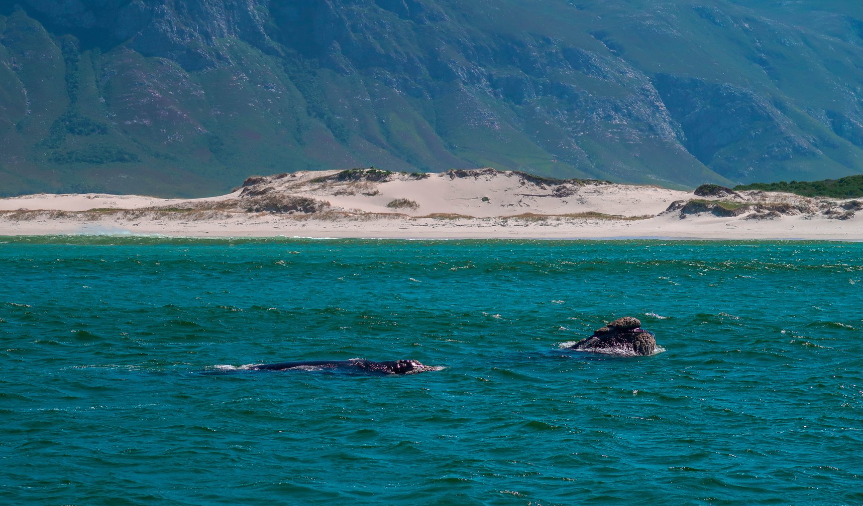 South Africa South Africa