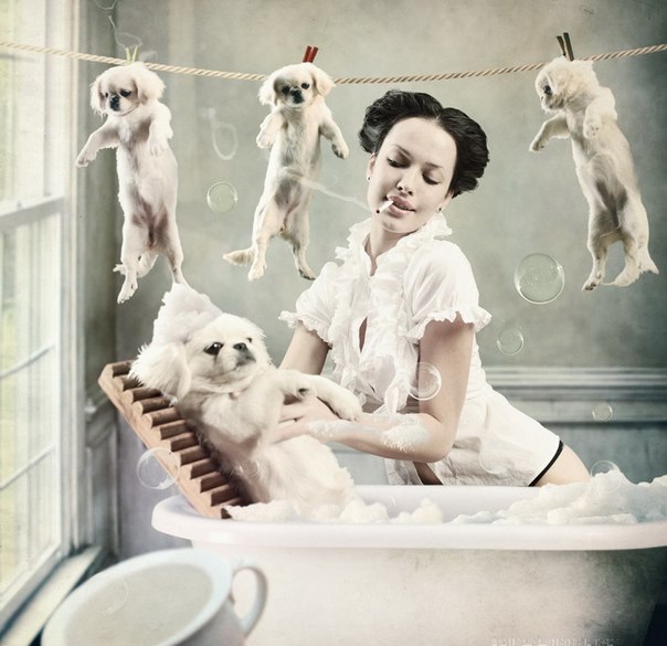 ДОРОГИЕ УЧАСТНИКИ! ЗАКУПКИ В ЧАТЕ В ВАЙБЕРЕ +7 904 925 70 01 ПРИСОЕДИНЯЙТЕСЬ! ДОРОГИЕ УЧАСТНИКИ! ЗАКУПКИ В ЧАТЕ В ВАЙБЕРЕ +7 904 925 70 01 ПРИСОЕДИНЯЙТЕСЬ!