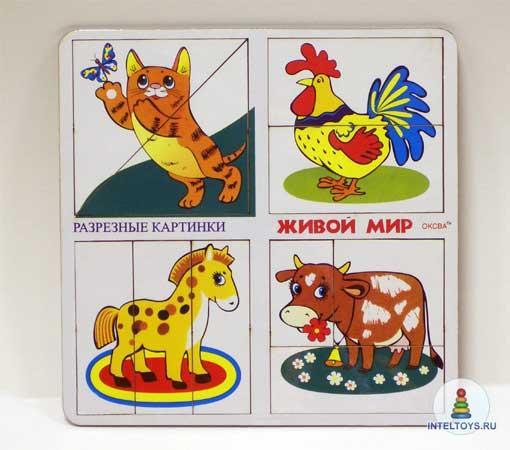 Разрезные картинки Живой мир. Разрезные картинки Живой мир.