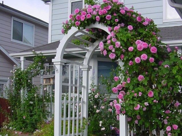 РЕКОМЕНДУЮ!!!Крайний выкуп в этом сезоне!Садовые арки,шпалеры ,металлические заборчики,кустодержатели и опоры.Цены в 2 раза дешевле, чем в рознице.Выкуп 9 РЕКОМЕНДУЮ!!!Крайний выкуп в этом сезоне!Садовые арки,шпалеры ,металлические заборчики,кустодержатели и опоры.Цены в 2 раза дешевле, чем в рознице.Выкуп 9