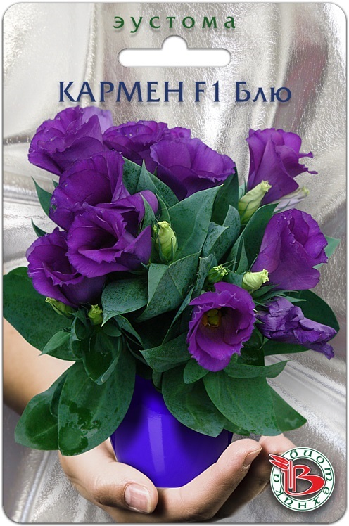 Эустома горшечная серии Кармен F1 - компактные, сильно ветвящиеся растения высотой 20-25 см, при этом форма крупноцветковая. Цветки махровые, с несколькими рядами лепестков. Очень эффектное растение, как для сада, так и для дома. Эустома горшечная серии Кармен F1 - компактные, сильно ветвящиеся растения высотой 20-25 см, при этом форма крупноцветковая. Цветки махровые, с несколькими рядами лепестков. Очень эффектное растение, как для сада, так и для дома.