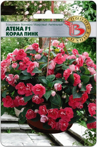 Сбор до 27.10. Семена от компании Биотехника. Теперь и газон и отличная подсветка для рассады. 2/2021 Сбор до 27.10. Семена от компании Биотехника. Теперь и газон и отличная подсветка для рассады. 2/2021