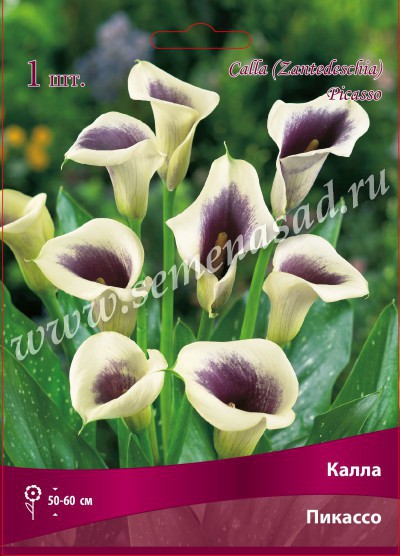 Предзаказ на весну 2021! Огромнейший выбор луковичных, лилий и многолетников! Лучшие проверенные сорта и новинки селекции от лидера российского рынка АФ По*и*ск! Предзаказ на весну 2021! Огромнейший выбор луковичных, лилий и многолетников! Лучшие проверенные сорта и новинки селекции от лидера российского рынка АФ По*и*ск!