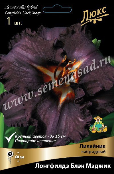 Невероятная, пропитанная магией, расцветка бутонов! Лилейник гибридный Лонгфилдз Блэк Мэджик! Невероятная, пропитанная магией, расцветка бутонов! Лилейник гибридный Лонгфилдз Блэк Мэджик!