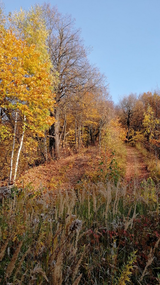 Улетели листья Улетели листья