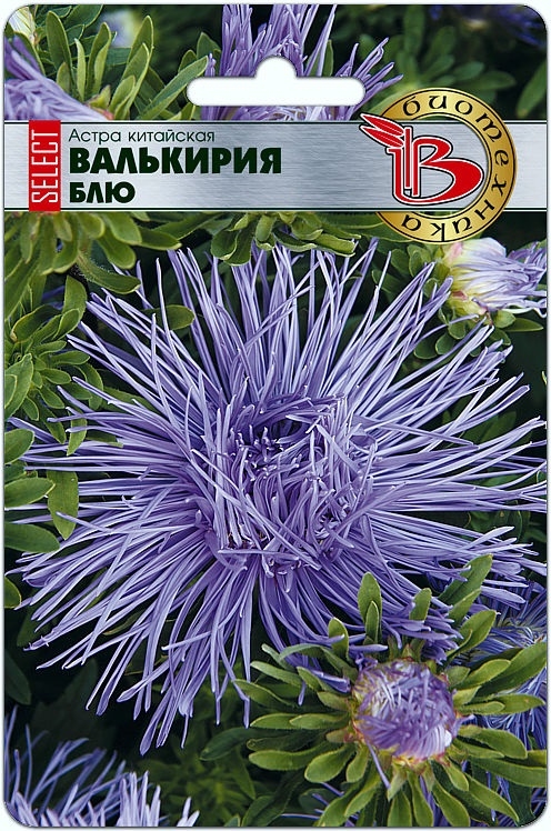 Семена для Вашего сада от компании Биотехника-21. Сорта и гибриды овощных культур для районов с неблагоприятной погодой! СТОП в среду в 9:00! Семена для Вашего сада от компании Биотехника-21. Сорта и гибриды овощных культур для районов с неблагоприятной погодой! СТОП в среду в 9:00!