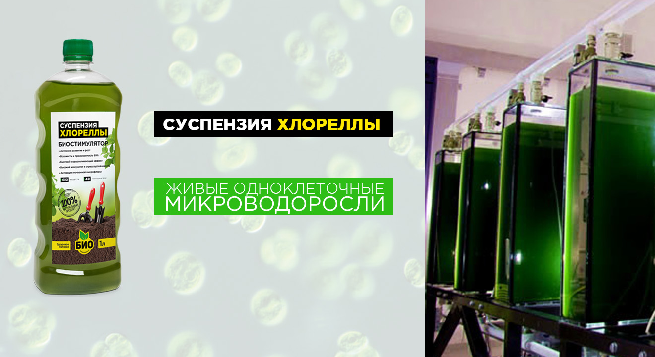 Суспензия хлореллы, Экстракт хвои, гумины, сапропель от производителя. Суспензия хлореллы, Экстракт хвои, гумины, сапропель от производителя.