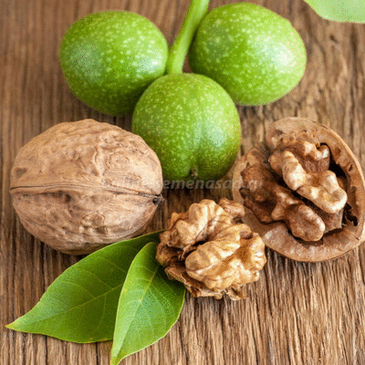 Саженцы для вашего сада - пока на складе огромный выбор! - Стоп в воскресенье Саженцы для вашего сада - пока на складе огромный выбор! - Стоп в воскресенье