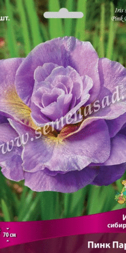 ПИОНЫ, КАЛЛЫ, ИРИСЫ, ГЕОРГИНЫ, ФЛОКСЫ, ХОСТЫ и другие многолетники для вашего сада! ПИОНЫ, КАЛЛЫ, ИРИСЫ, ГЕОРГИНЫ, ФЛОКСЫ, ХОСТЫ и другие многолетники для вашего сада!