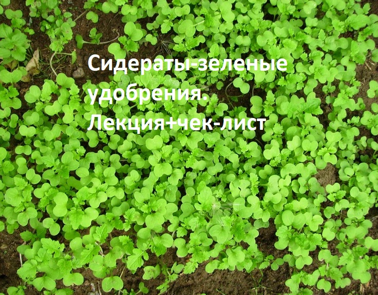 Запись лекции Запись лекции