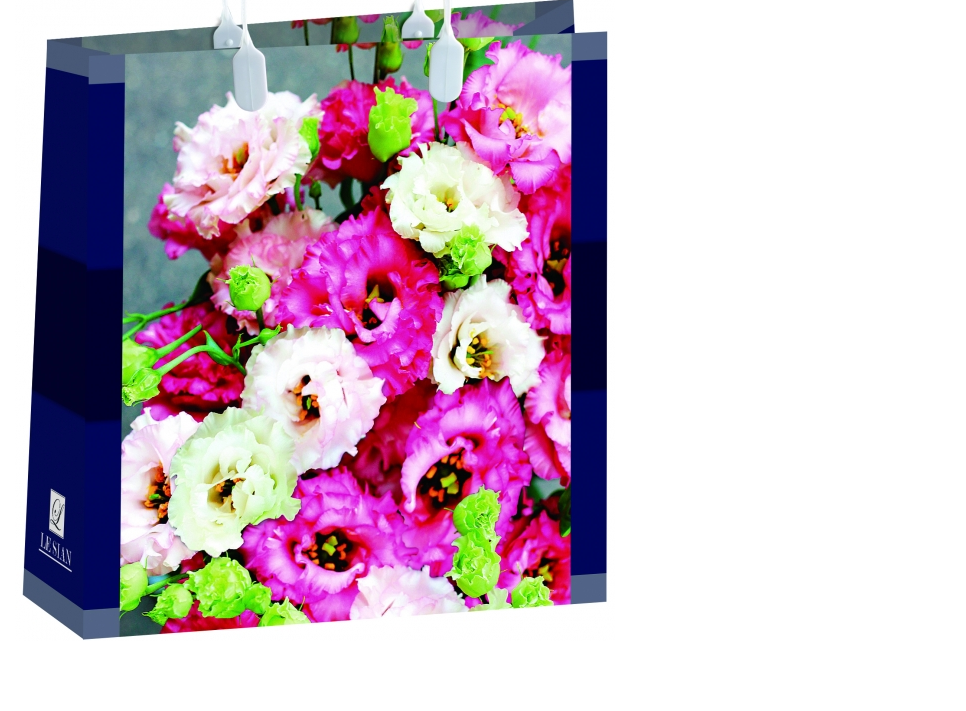 К выпускным и праздникам! Подарочные пакеты и пакеты-сумки. Все в наличии! К выпускным и праздникам! Подарочные пакеты и пакеты-сумки. Все в наличии!