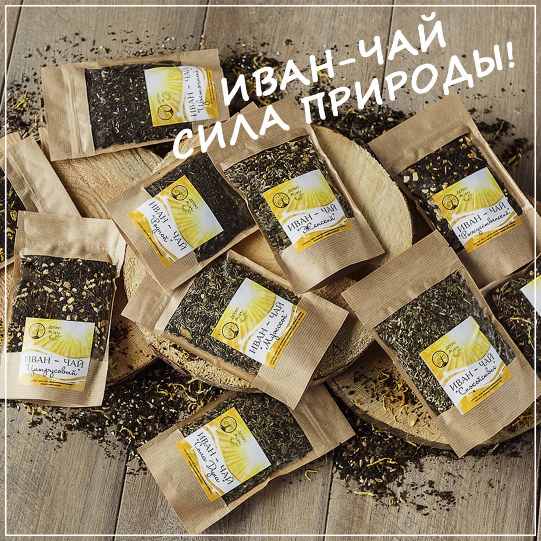 Иван-чай - веками проверенный эликсир здоровья и долголетия! Иван-чай - веками проверенный эликсир здоровья и долголетия!
