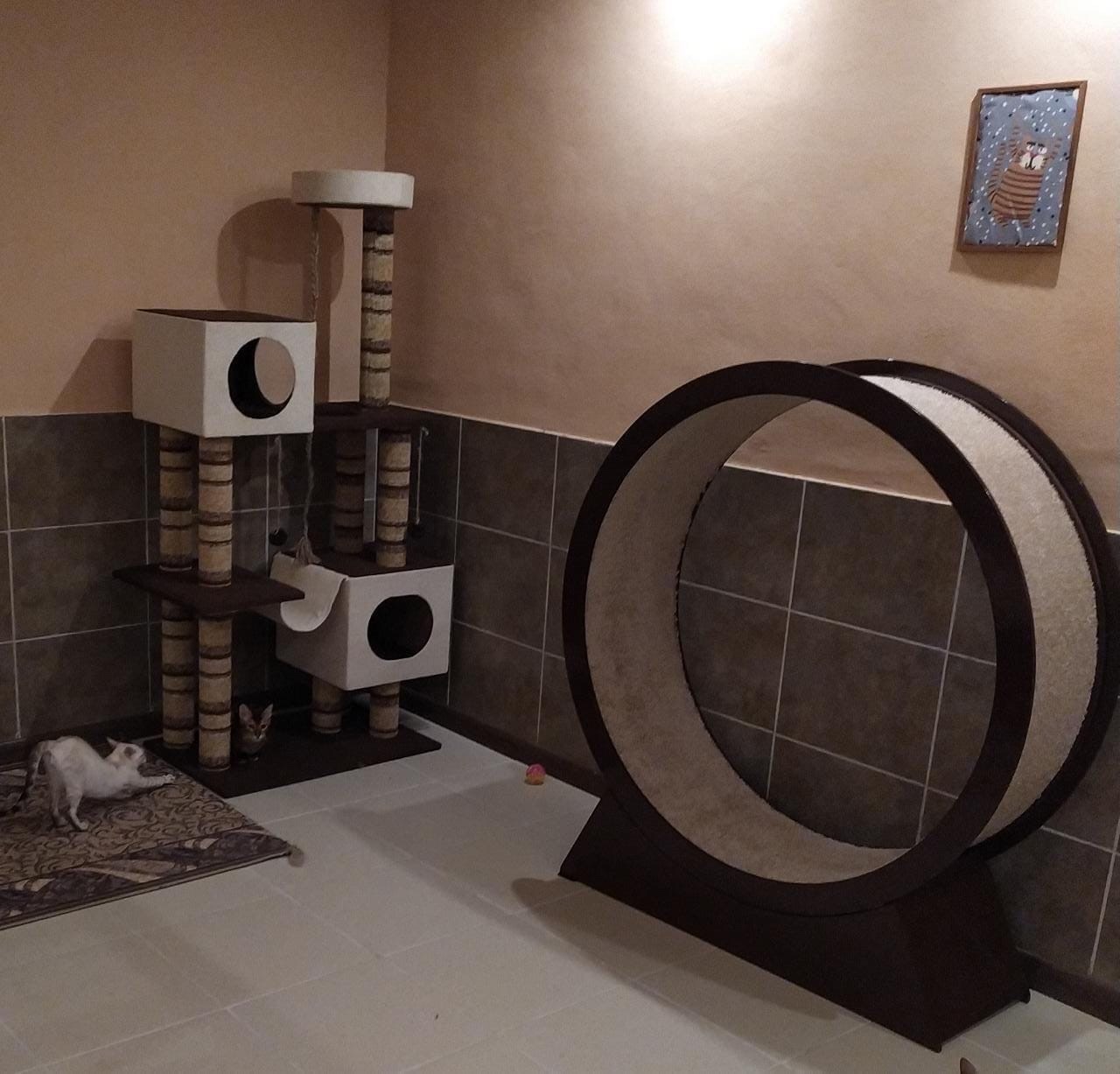 Сбор ЗООТОВАРЫ до 17.06 Домики, Когтеточки, Комплексы для кошек, Диваны, Ступеньки для собак - Фабрика Усатый дом. Выкуп 78 + Пристрой Сбор ЗООТОВАРЫ до 17.06 Домики, Когтеточки, Комплексы для кошек, Диваны, Ступеньки для собак - Фабрика Усатый дом. Выкуп 78 + Пристрой