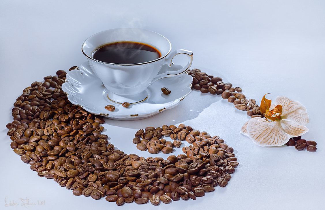 ôòõäîï õäåòöáôøóñ é îå ðïðòïâï÷áôø ëïæå Ecuador Imbabura Arabica, ÷ï ÷ëõóå ëïôïòïçï ïýõýáåôóñ ãåìùê ëáìåêäïóëïð îïôïë ÷áîéìé,íéîäáìñ,÷éûîé é ûïëïìáäá!!! ôòõäîï õäåòöáôøóñ é îå ðïðòïâï÷áôø ëïæå Ecuador Imbabura Arabica, ÷ï ÷ëõóå ëïôïòïçï ïýõýáåôóñ ãåìùê ëáìåêäïóëïð îïôïë ÷áîéìé,íéîäáìñ,÷éûîé é ûïëïìáäá!!!