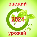 Новый урожай кешью по лучшей цене! Новый урожай кешью по лучшей цене!