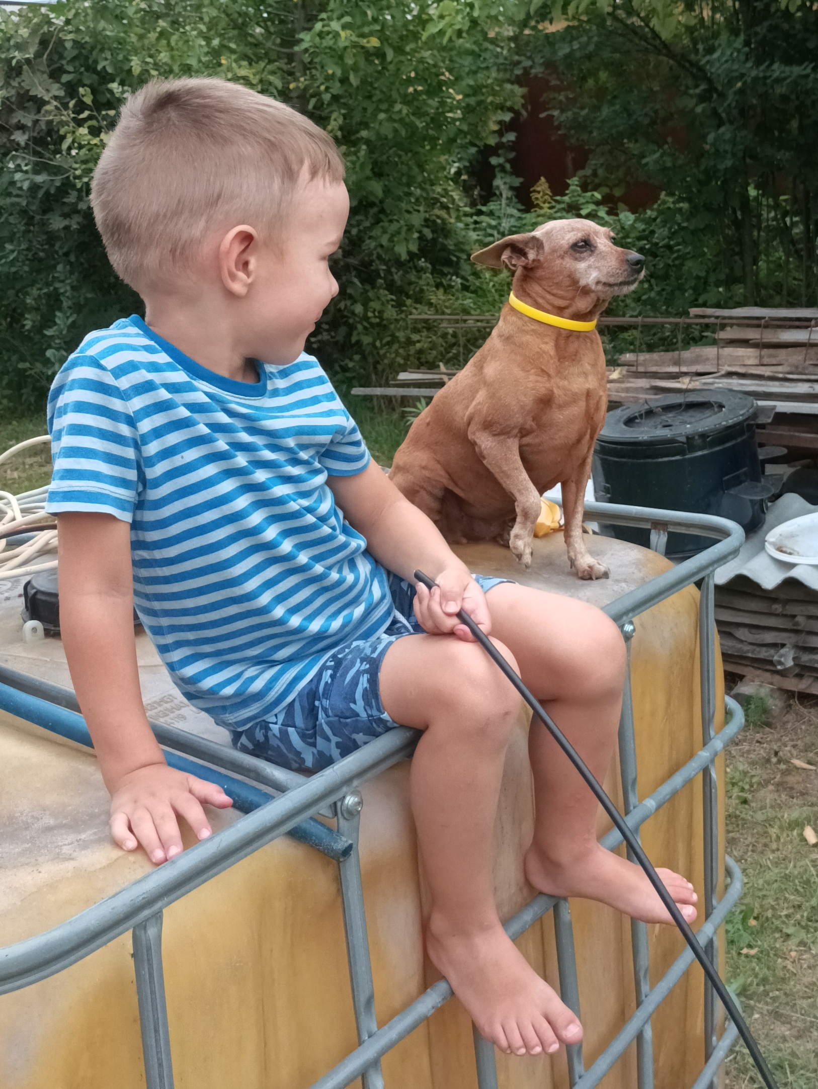 А у кого сегодня День рождения!? А кто у нас умница и красавица!? Кто нас радует уже 12 лет?! 🐕💐☀ #жоз #маленькаясобакасбольшимсердцем #жози #жозефина #жозефинабописовна #немогулюблютрамвайкуплю #цвергпинчер #окрасолень # А у кого сегодня День рождения!? А кто у нас умница и красавица!? Кто нас радует уже 12 лет?! 🐕💐☀ #жоз #маленькаясобакасбольшимсердцем #жози #жозефина #жозефинабописовна #немогулюблютрамвайкуплю #цвергпинчер #окрасолень #