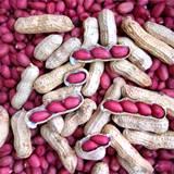 Уникальные продукты для здоровья - АРАХИС. У поставщика акция. Лучшая цена! Уникальные продукты для здоровья - АРАХИС. У поставщика акция. Лучшая цена!