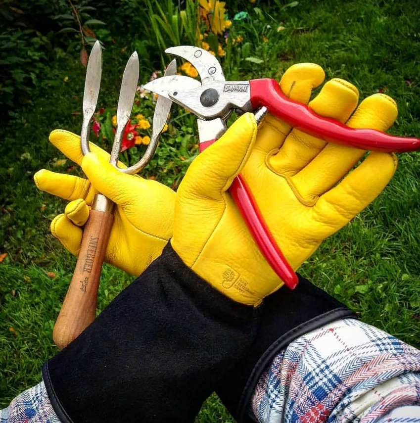 СРОЧНО, ВАЖНО! ПРО САМЫЕ ЛУЧШИЕ ПЕРЧАТКИ GOLD LEAF !!! СРОЧНО, ВАЖНО! ПРО САМЫЕ ЛУЧШИЕ ПЕРЧАТКИ GOLD LEAF !!!