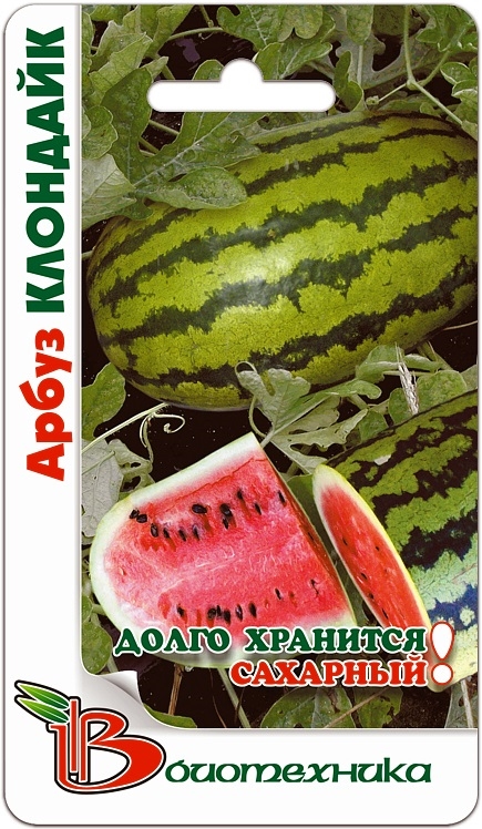 Вырастить арбузы на грядке можно не только в южных регионах, а даже в суровых условиях Урала и Сибири! Тем более в средней полосе! Подборка от Биотехники! Вырастить арбузы на грядке можно не только в южных регионах, а даже в суровых условиях Урала и Сибири! Тем более в средней полосе! Подборка от Биотехники!