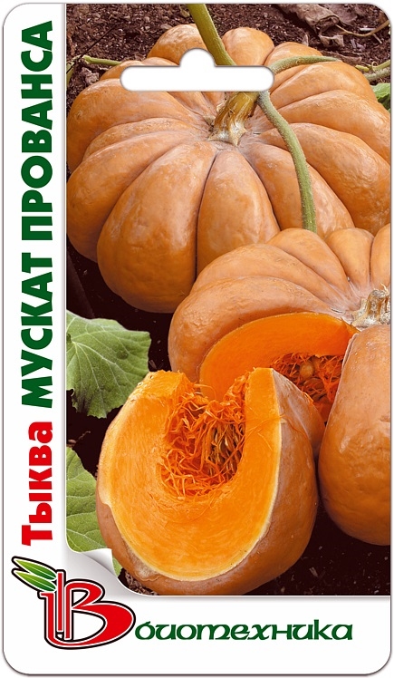 Семена для Вашего сада от компании Биотехника-31. Сорта и гибриды овощных и цветочных культур для районов с неблагоприятной погодой Семена для Вашего сада от компании Биотехника-31. Сорта и гибриды овощных и цветочных культур для районов с неблагоприятной погодой