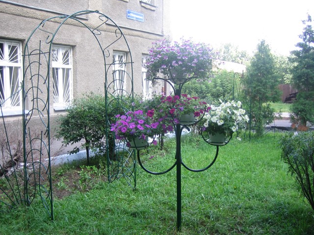 Сбор заказов до 15.04. Изделия для красоты Вашего сада. Шпалеры, садовые арки, кустодержатели, опоры для вьющихся растений, заборчики и многое другое! Сбор заказов до 15.04. Изделия для красоты Вашего сада. Шпалеры, садовые арки, кустодержатели, опоры для вьющихся растений, заборчики и многое другое!