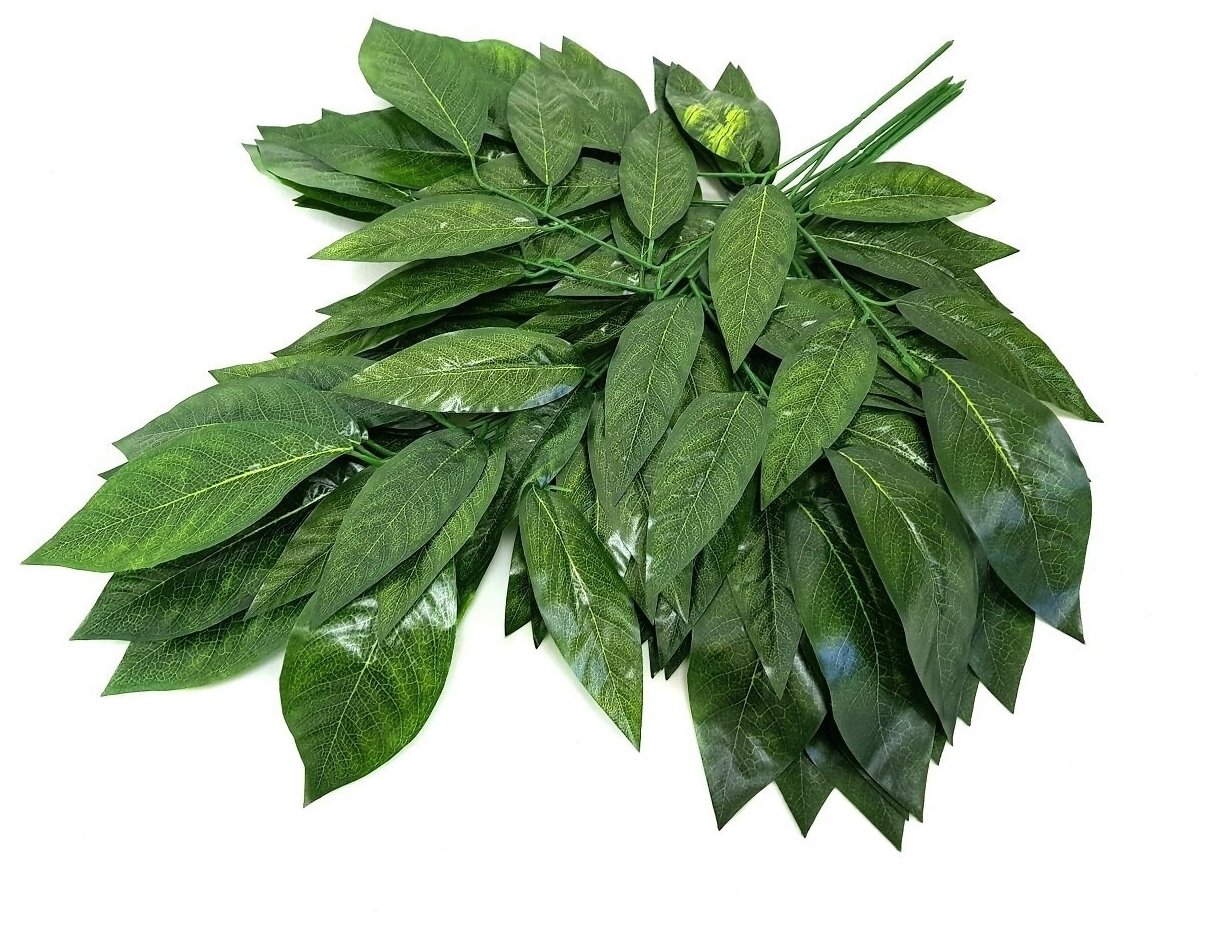 НОВИНКА - ВЕТКА МАНГО НОВИНКА - ВЕТКА МАНГО