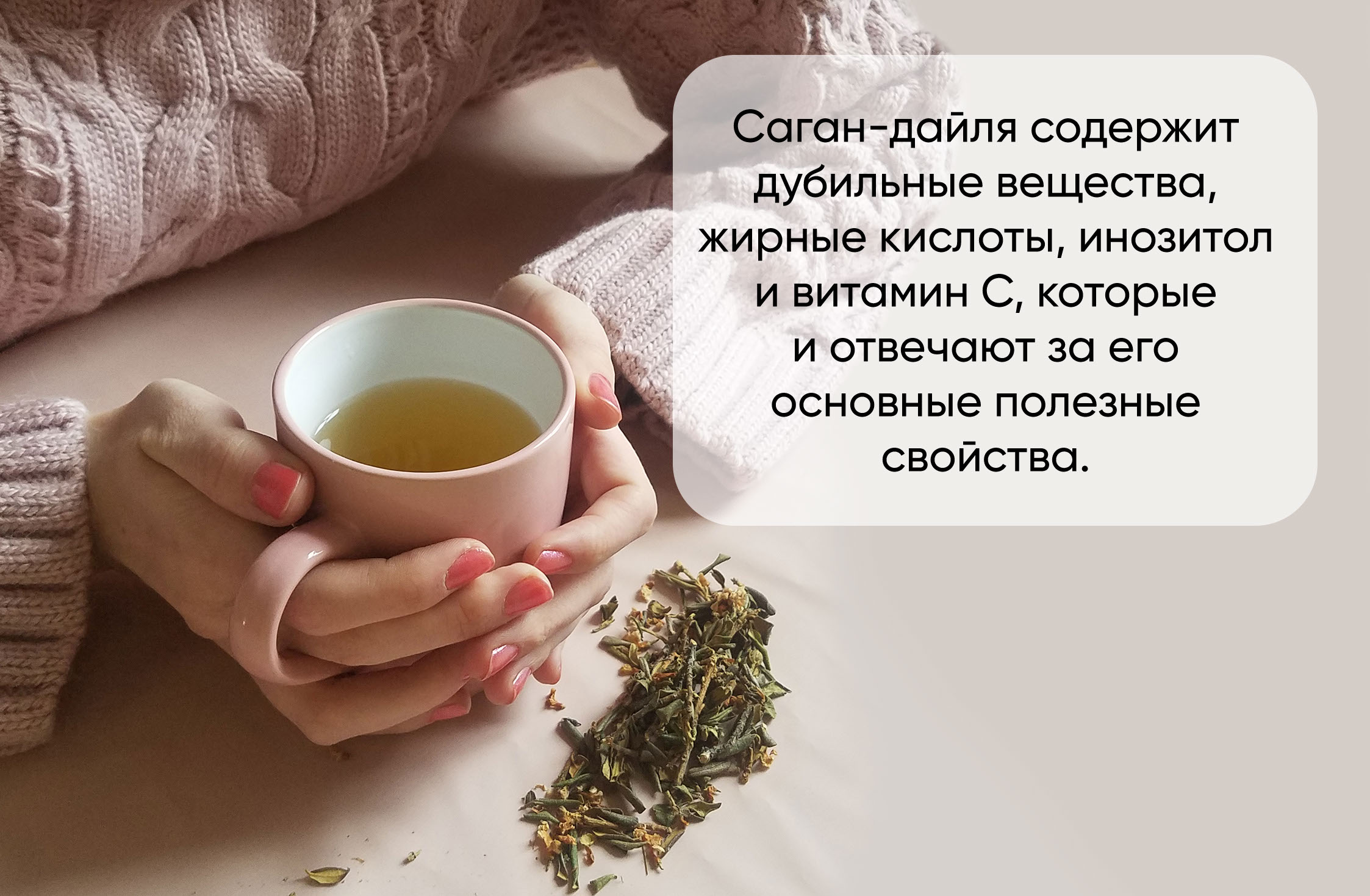 У него много имен....Шаманский чай...бурятский жень-шень....белое крыло....душистый багульник ....сагандайль.... У него много имен....Шаманский чай...бурятский жень-шень....белое крыло....душистый багульник ....сагандайль....