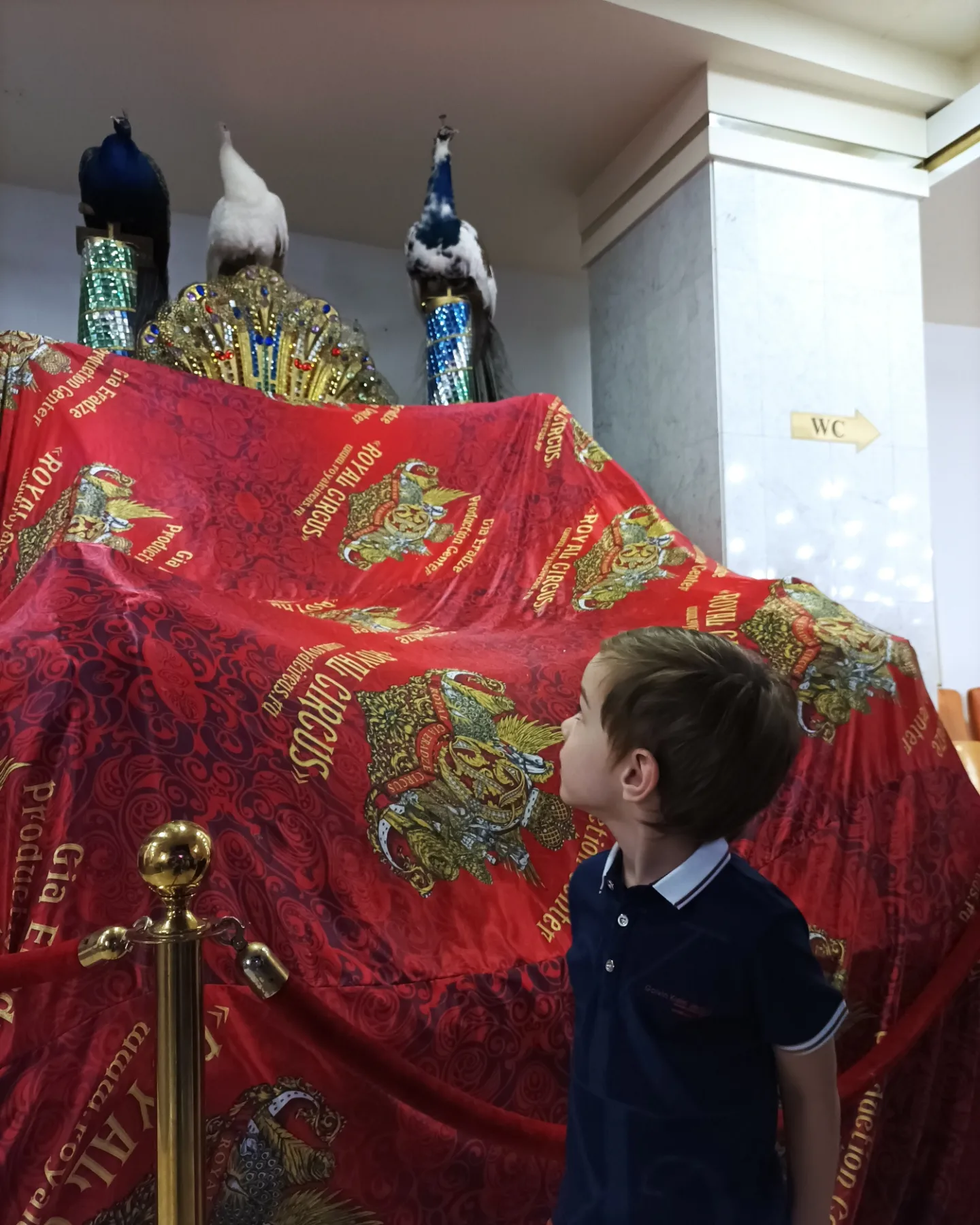 🦚 Первый раз в цирке и сразу в Королевском! 👑 "Песчаная сказка" Гии Эрадзе! 🐫 Шикарные верблюды! 🦛 Милейшие бегемоты! 🐩 Пушистые собаки! 🕷 Завораживающие пауки! ӿ 🦚 Первый раз в цирке и сразу в Королевском! 👑 "Песчаная сказка" Гии Эрадзе! 🐫 Шикарные верблюды! 🦛 Милейшие бегемоты! 🐩 Пушистые собаки! 🕷 Завораживающие пауки! ӿ