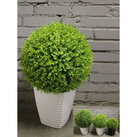 Поторопитесь, СЕГОДНЯ СТОП Поторопитесь, СЕГОДНЯ СТОП