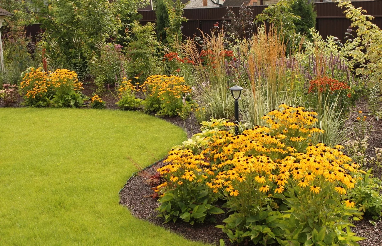 Сбор заказов. Декоративные растения с частого хозяйства Gardenia, украшение для Вашего сада. Выкуп 17. Заключительный в этом сезоне! Сбор заказов. Декоративные растения с частого хозяйства Gardenia, украшение для Вашего сада. Выкуп 17. Заключительный в этом сезоне!