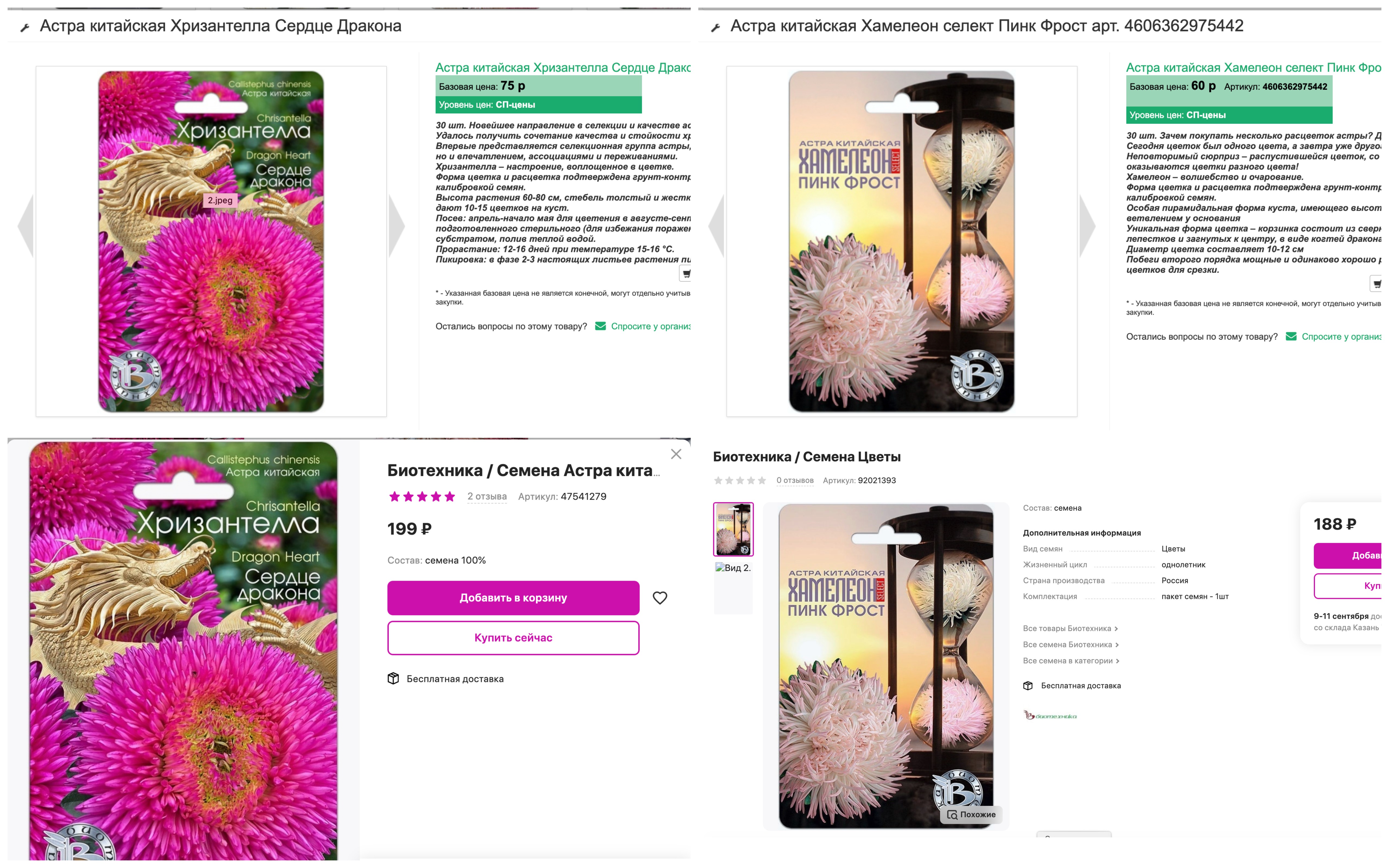 Самые красивые астры по самой низкой цене! Самые красивые астры по самой низкой цене!