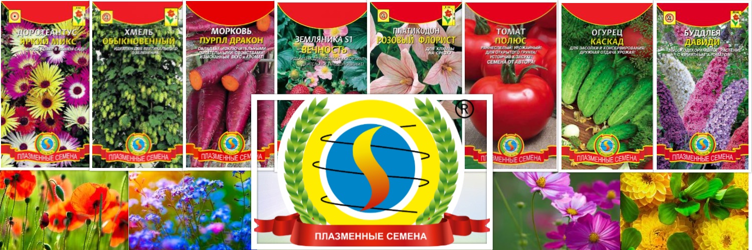 НОВЫЙ СЕЗОН!!! Сбор до 01.10. Плазменные семена. НОВЫЙ СЕЗОН!!! Сбор до 01.10. Плазменные семена.