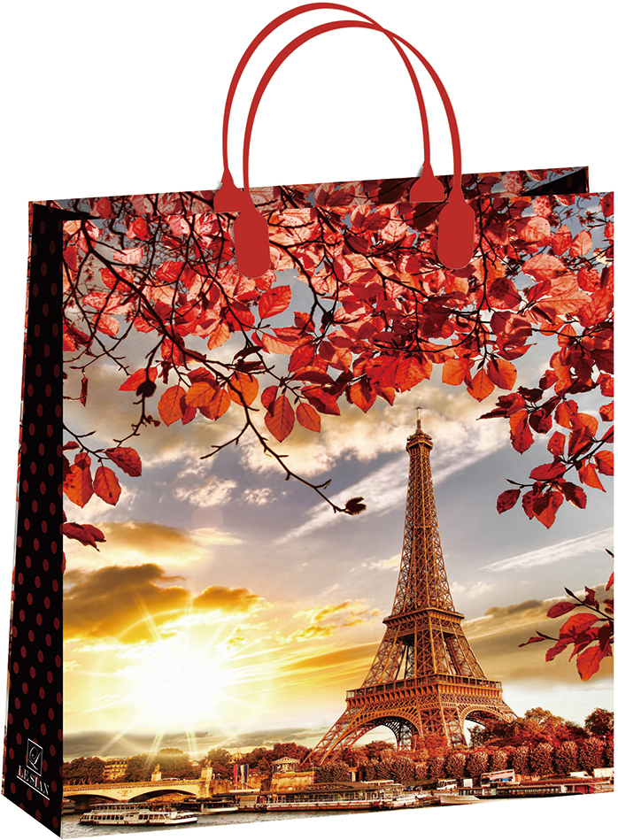 ПОДАРОЧНЫЕ ПАКЕТЫ ПОДАРОЧНЫЕ ПАКЕТЫ