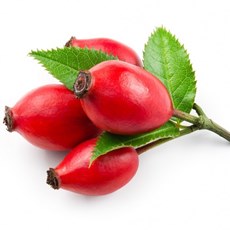 Из шиповника отвар - ценный от природы дар. Шиповник алтайский новый свежий урожай 2022. Чистый и ароматный! Лучшая цена! Скидки на орг сбор! Из шиповника отвар - ценный от природы дар. Шиповник алтайский новый свежий урожай 2022. Чистый и ароматный! Лучшая цена! Скидки на орг сбор!